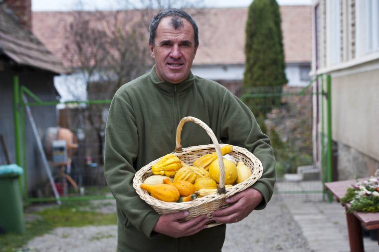 Egy vidám dísz a lakásban: a dísztök