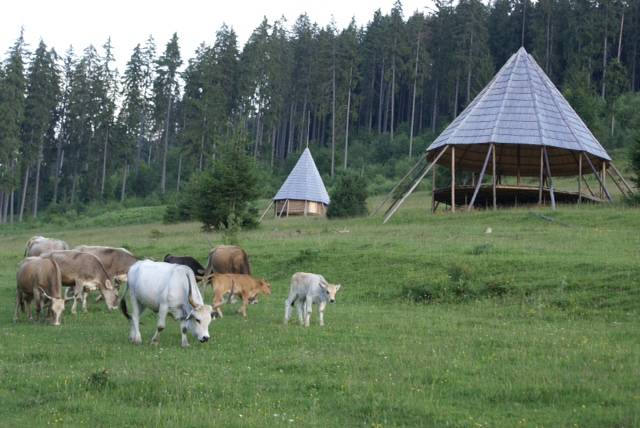 Kalákába hív a Miercurius