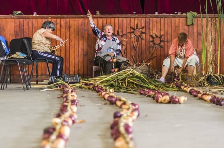 Javában készülnek a hagymafesztiválra Madéfalván