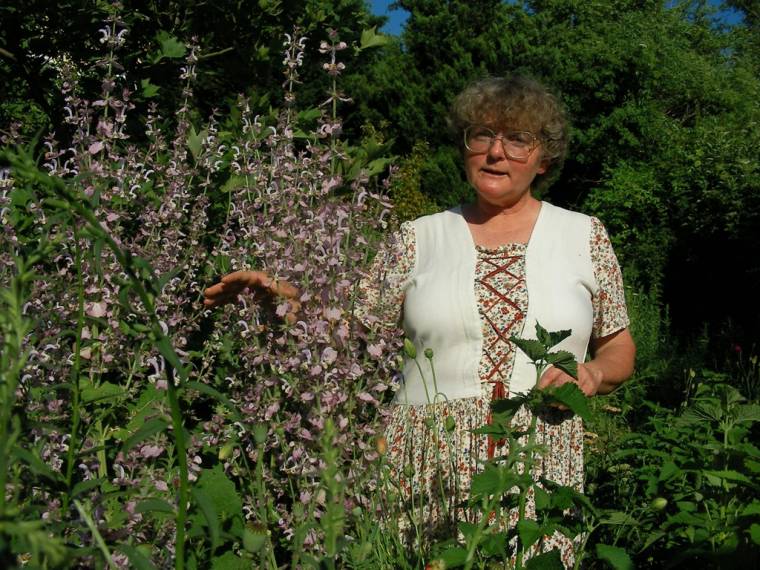 A fűszerekről és gyógynövényekről