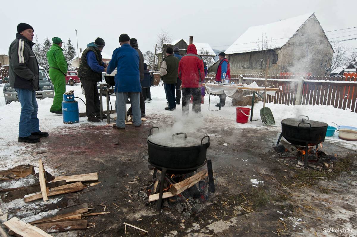 • Fotó: Kristó Róbert