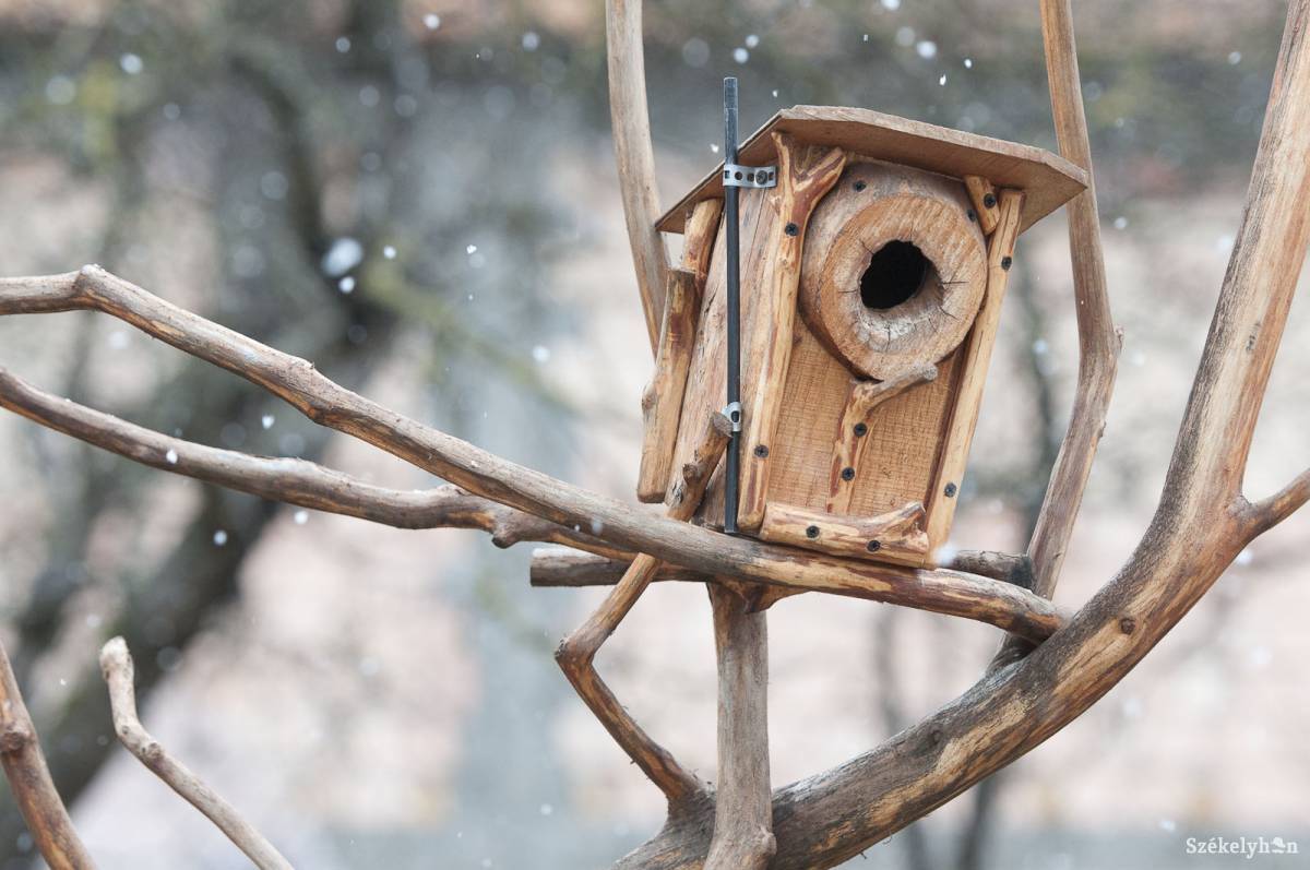 •  Fotó: Kristó Róbert