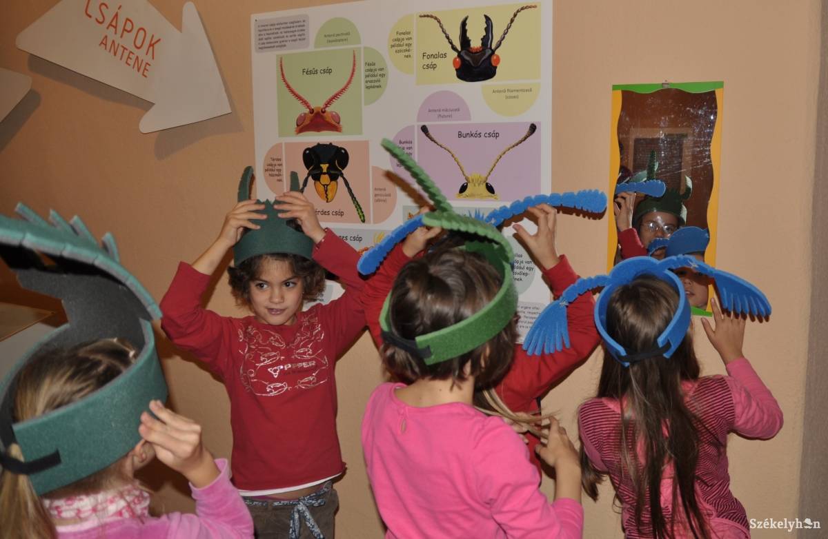 • Fotó: Nagy Gyöngyvér