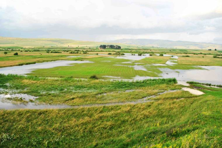Új könyvvel jelentkezik Demeter László