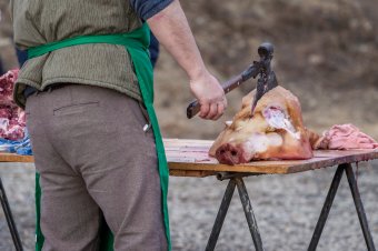 Véget vetnek a háztáji sertéshús-forgalmazásnak?