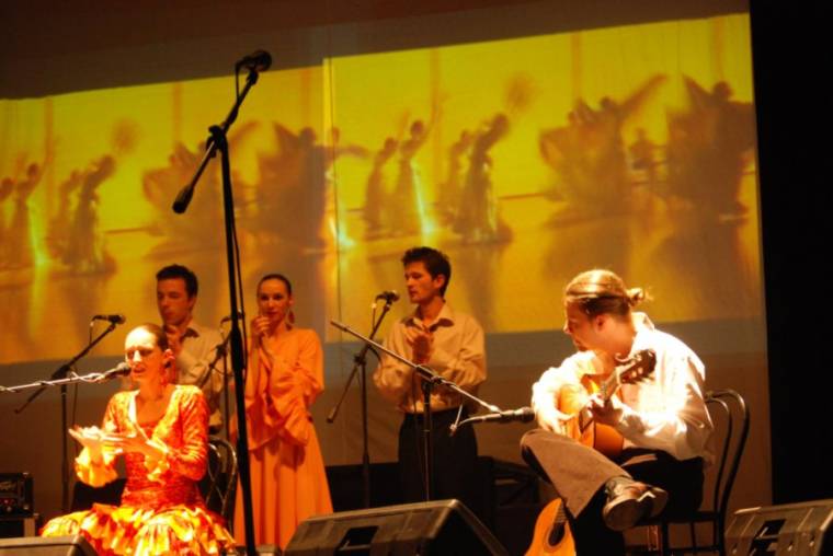 Szavazzunk a Jedamra és a Ritmo del Flamencóra!