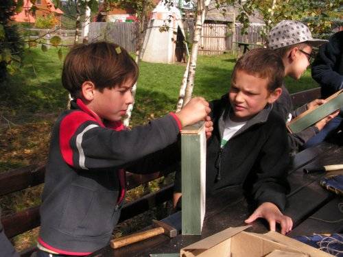 Egy nap az állatokért