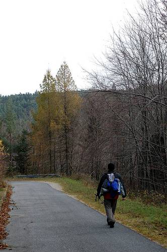 Túrák a Hargita-hegységbe