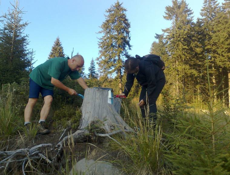 Debütál az EKE csíkszéki osztálya