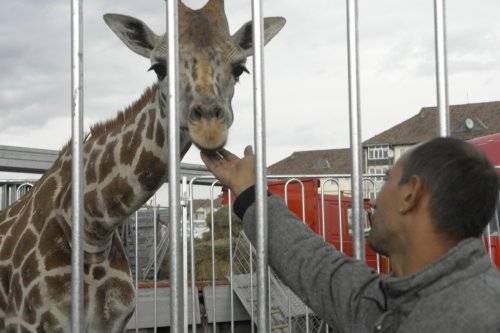 Ahol a legnagyobb fizetség a taps