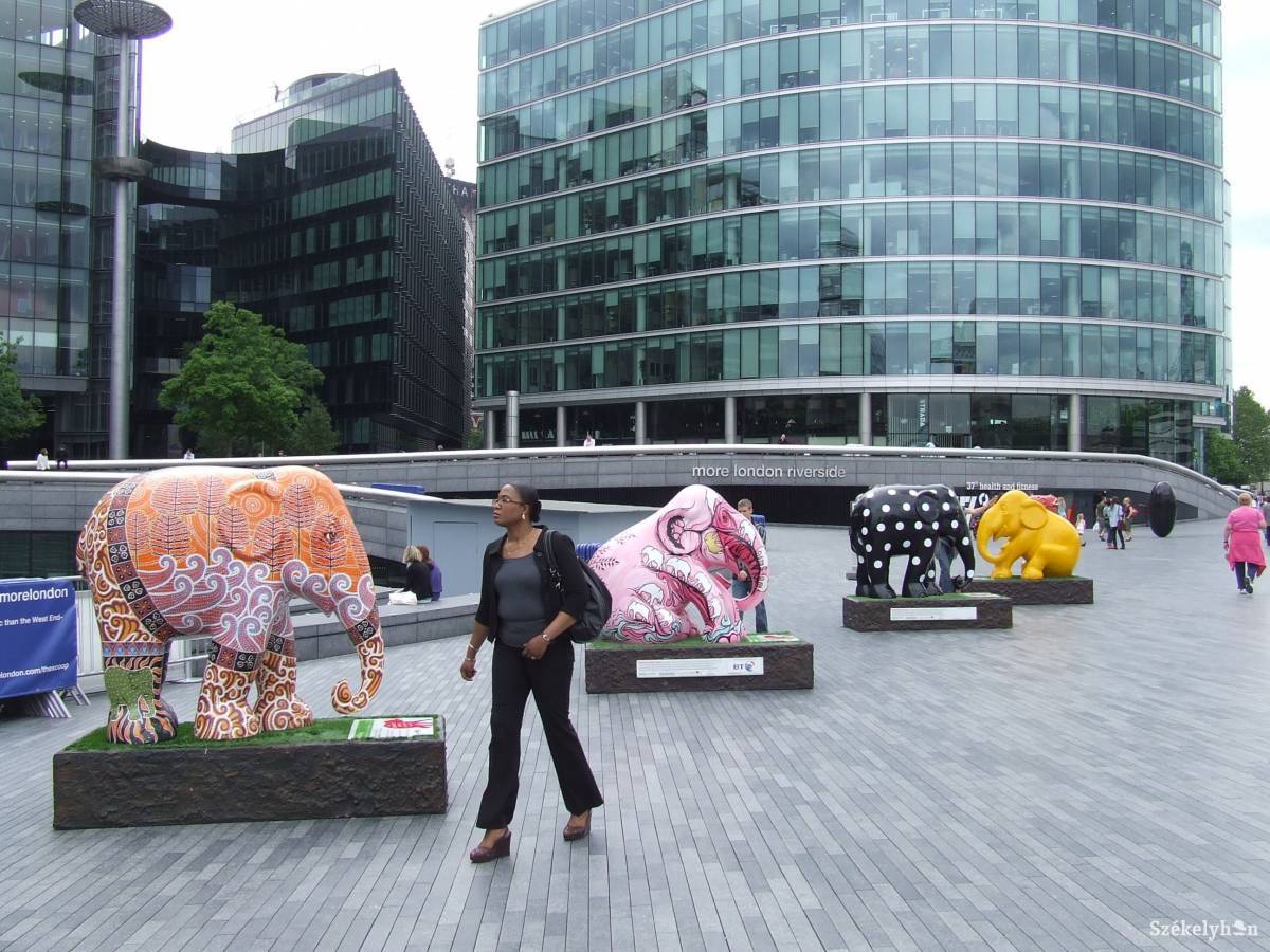 •  Fotó: Antal Orsolya