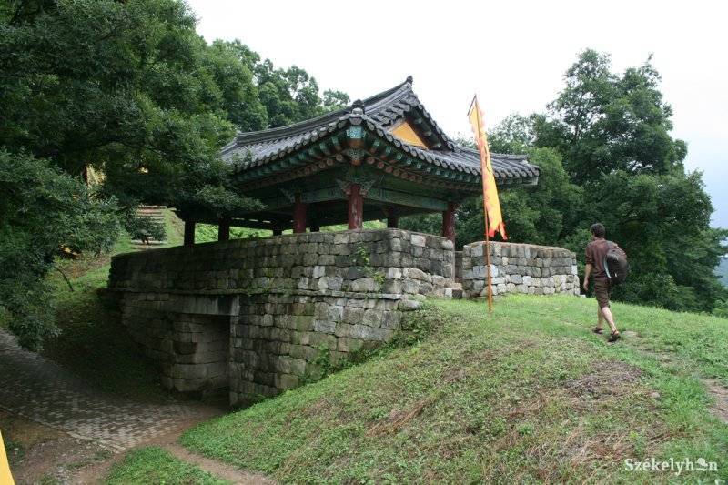 • Fotó: Koter Vilmos