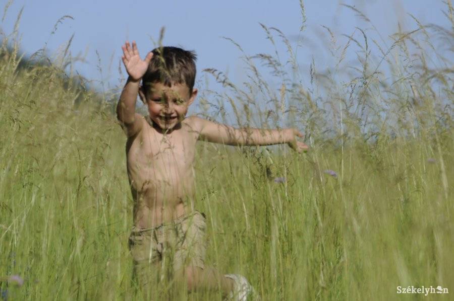 •  Fotó: Kristó Róbert