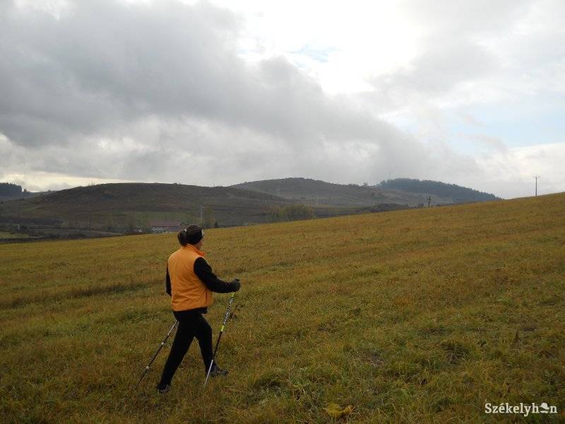 •  Fotó: Bertóti Zsolt