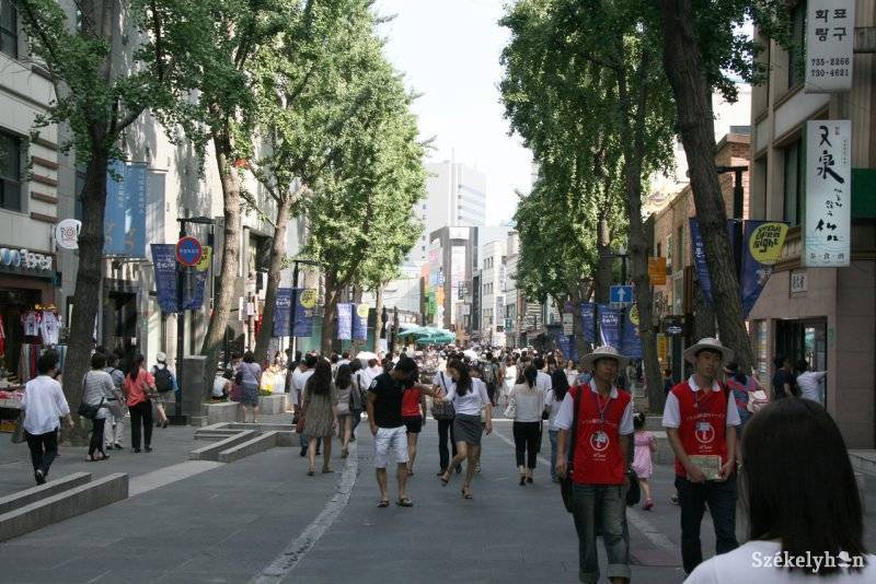 •  Fotó: Koter Vilmos