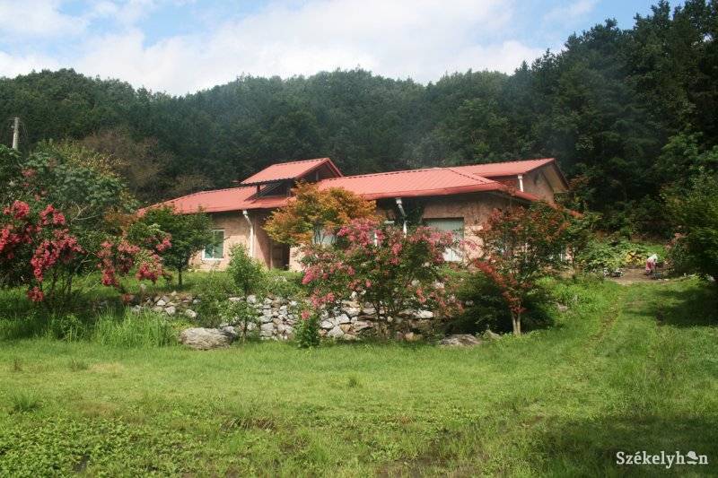 •  Fotó: Koter Vilmos