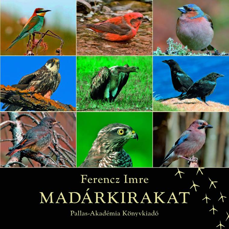 Madárkirakat