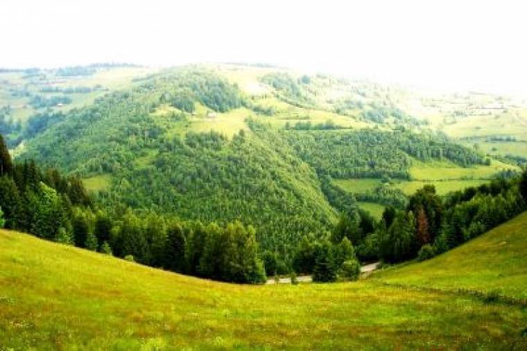 Havasi majálisra hívnak