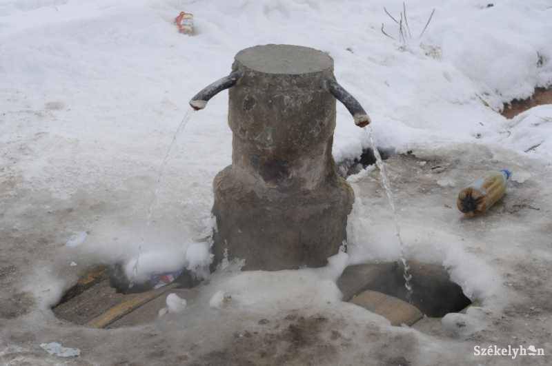 •  Fotó: Kristo Robert