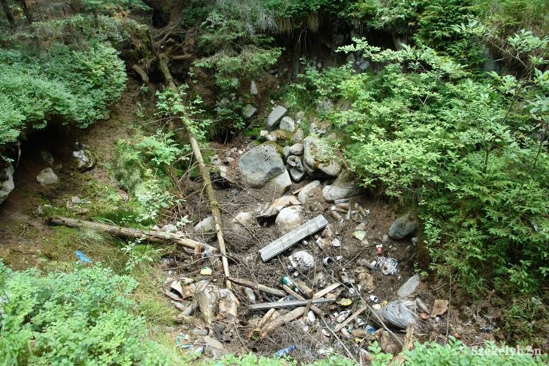 • Fotó: Kristó Róbert