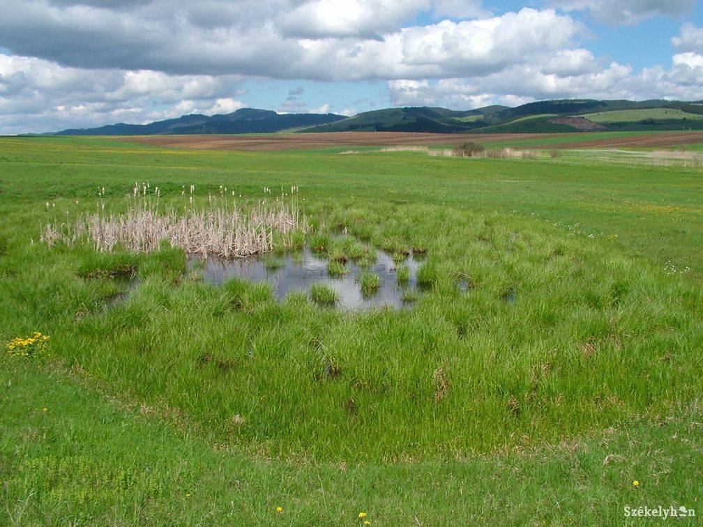 •  Fotó: Daczó Katalin