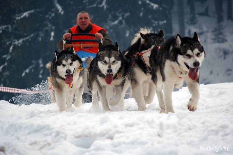 •  Fotó: Balázs B. Árpád