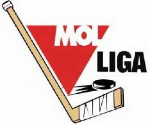 Várhatóan kilenccsapatos lesz a MOL-liga