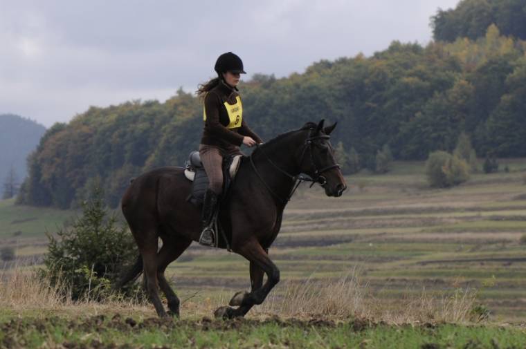 Távlovaglóverseny a Csíki-medencében