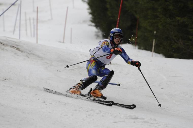 Alpesi síbajnokság