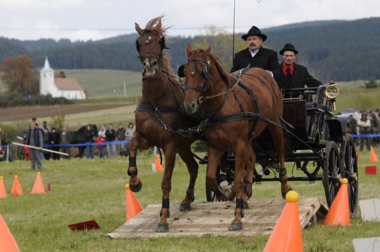 Lovasrandevú Csíkdelnén