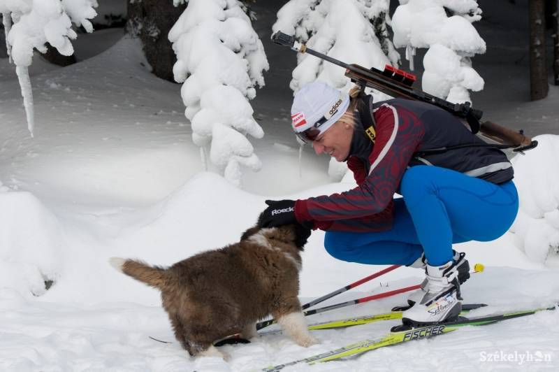 •  Fotó: Kristó Róbert
