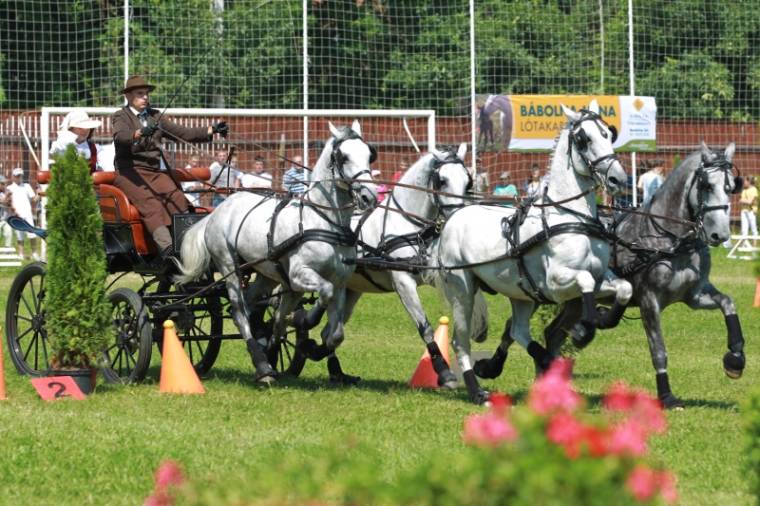 Bajkó nyerte a karcfalvi fogathajtást