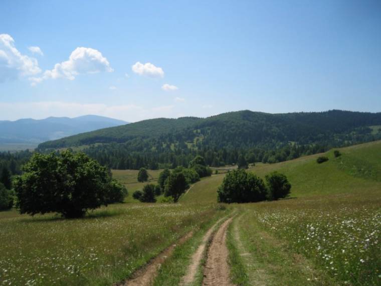 Hegyi futóverseny Marosfőn