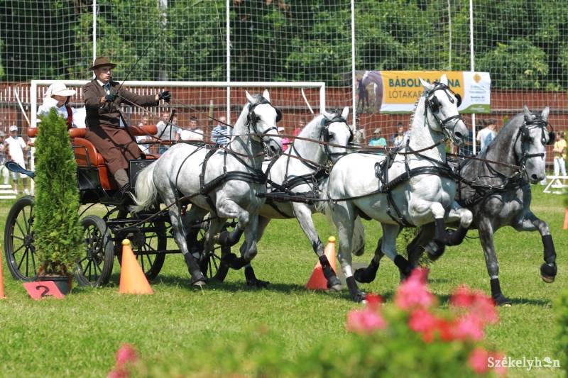 &bullet;  Fotó: Halmágyi Zsolt