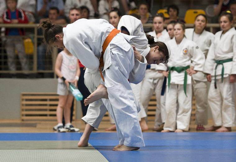 Aranyos lányok cselgáncsban