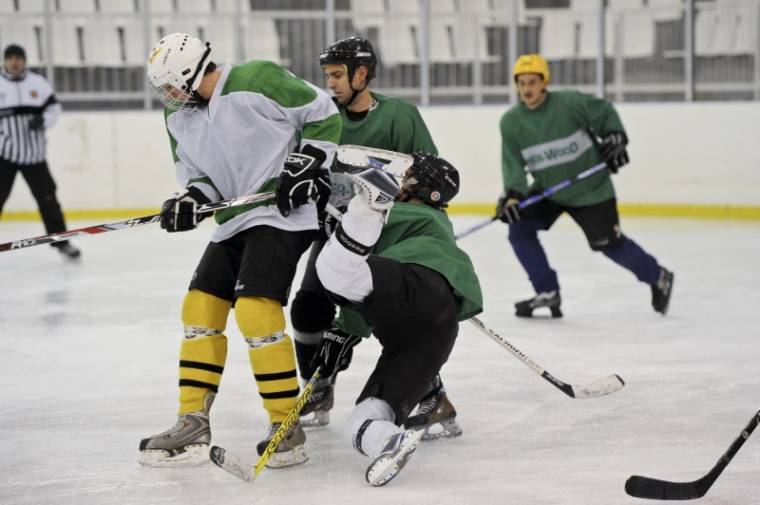 A dánfalvi hokit ünnepelték