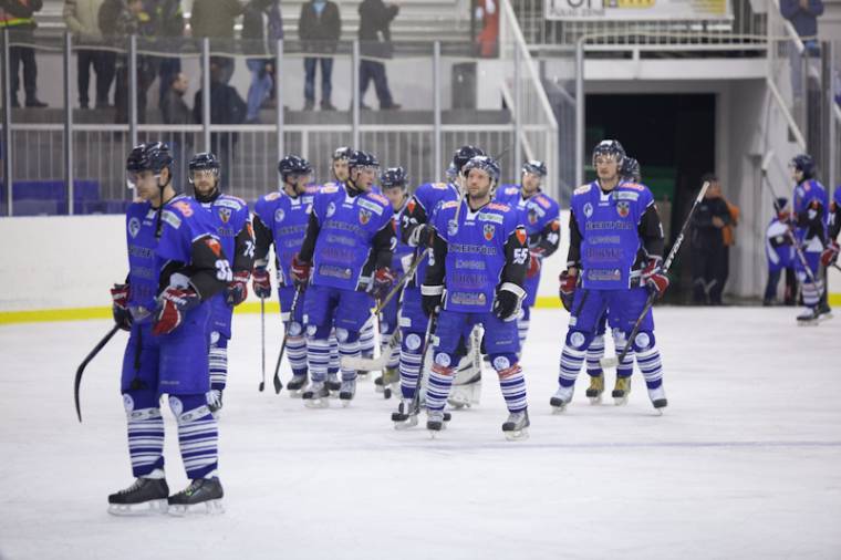 Hazai sikerek a MOL Ligában