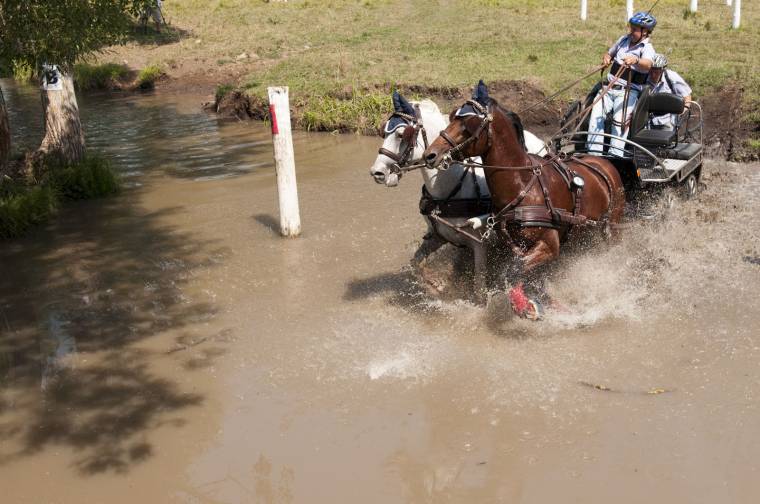 Bodó és Bajkó nyert Karcfalván