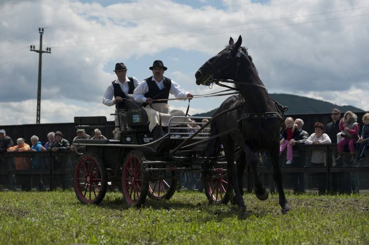 Sikeres lovasnap Csíkdelnén