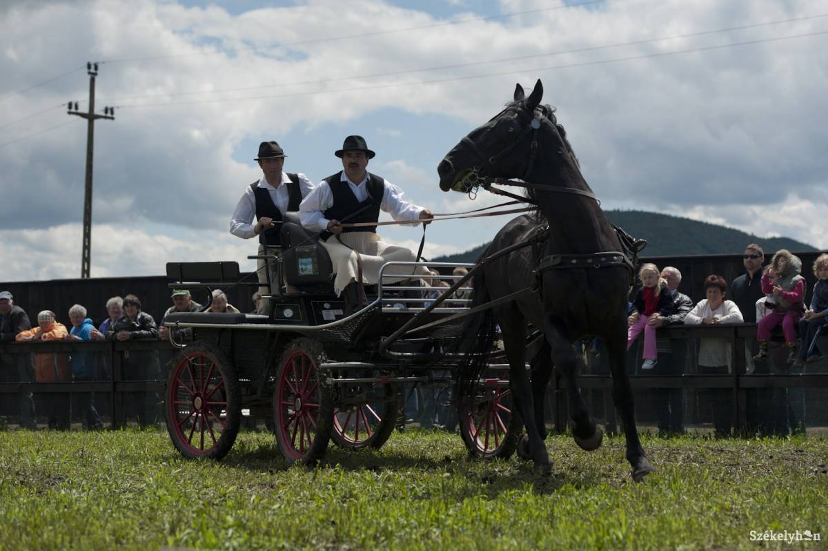 • Fotó: Kristó Róbert