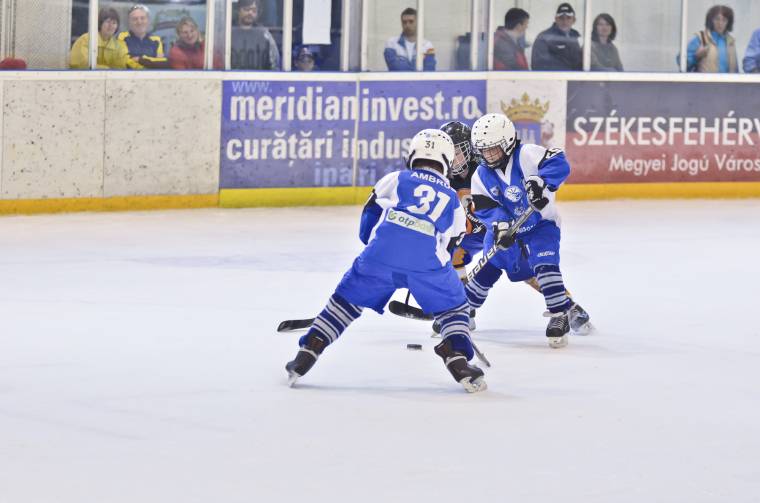 Hokispalánták seregszemléje Csíkszeredában