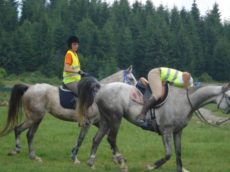 Sikeres távlovaglás Homoródfürdőn