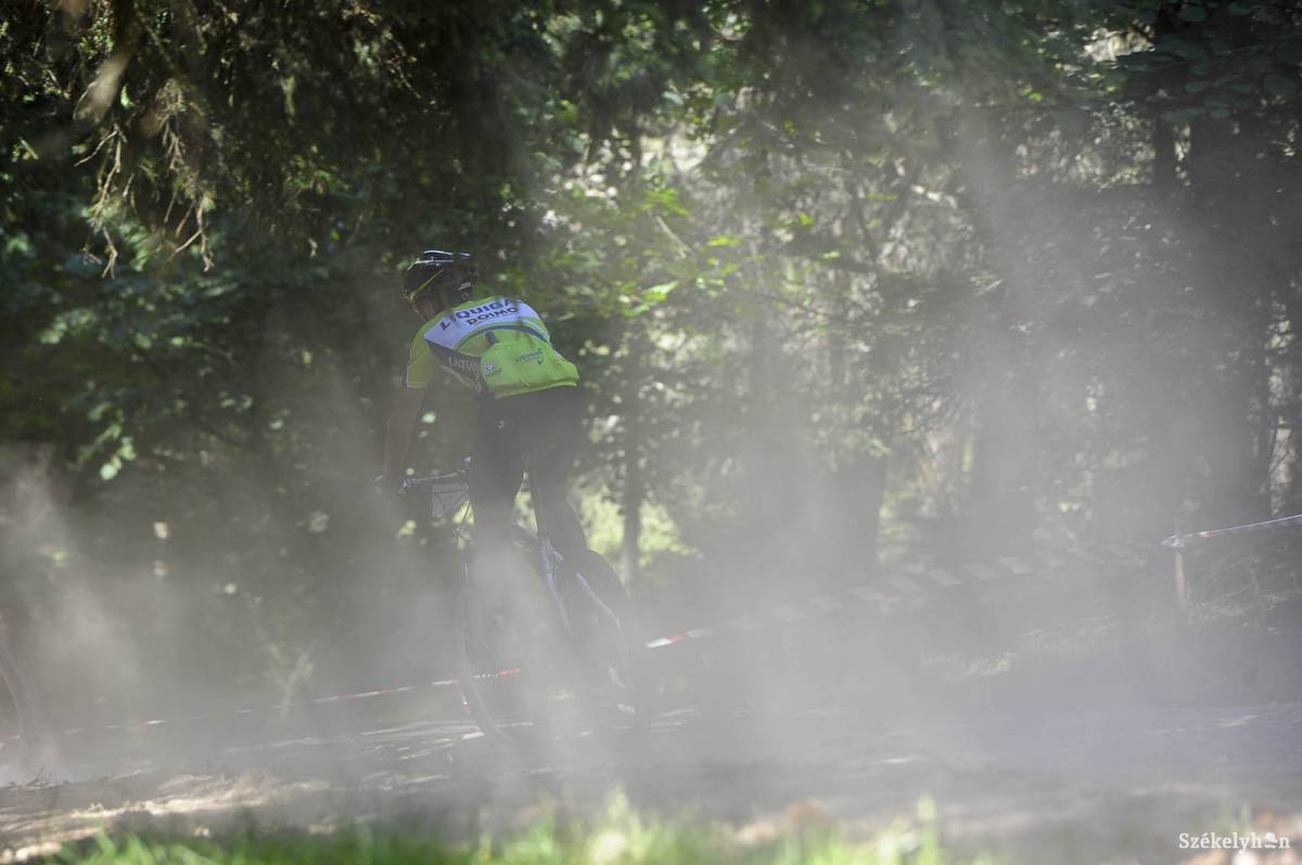 Biciklivel az erdőben. Veszélyes. Illusztráció •  Fotó: Kristó Róbert