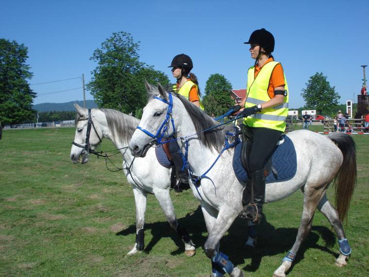 Csíki sikerek távlovaglásban
