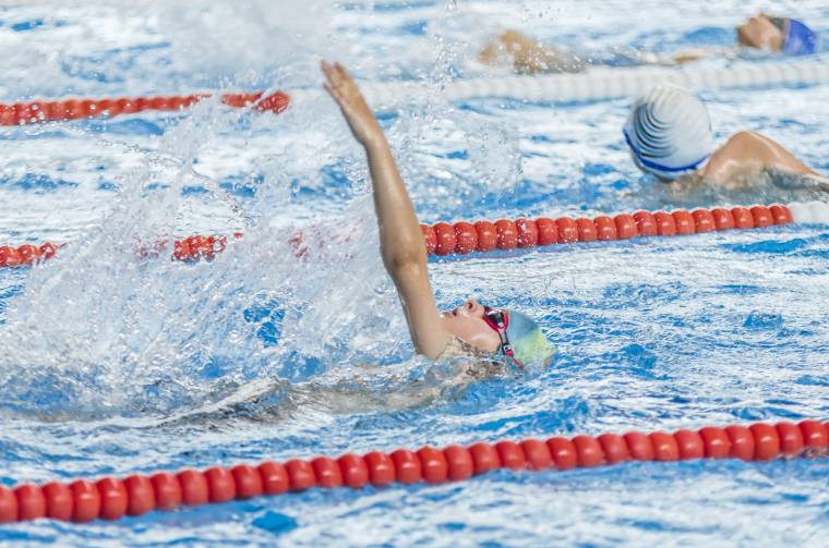 Vásárhelyi bronzérem úszásban
