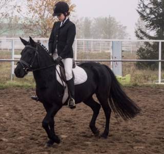 Csíki versenyző díjlovaglásban