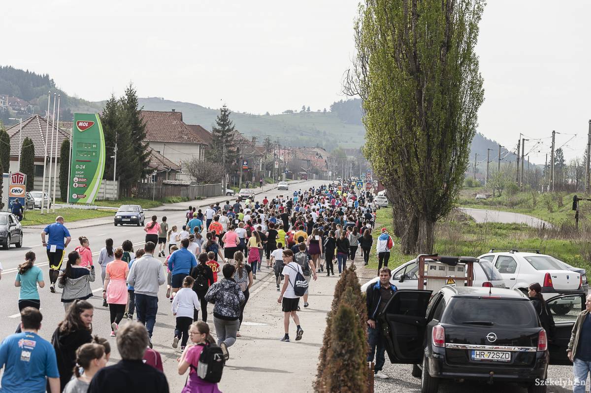 •  Fotó: Gecse Noémi