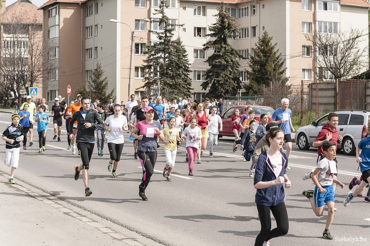 •  Fotó: Gecse Noémi