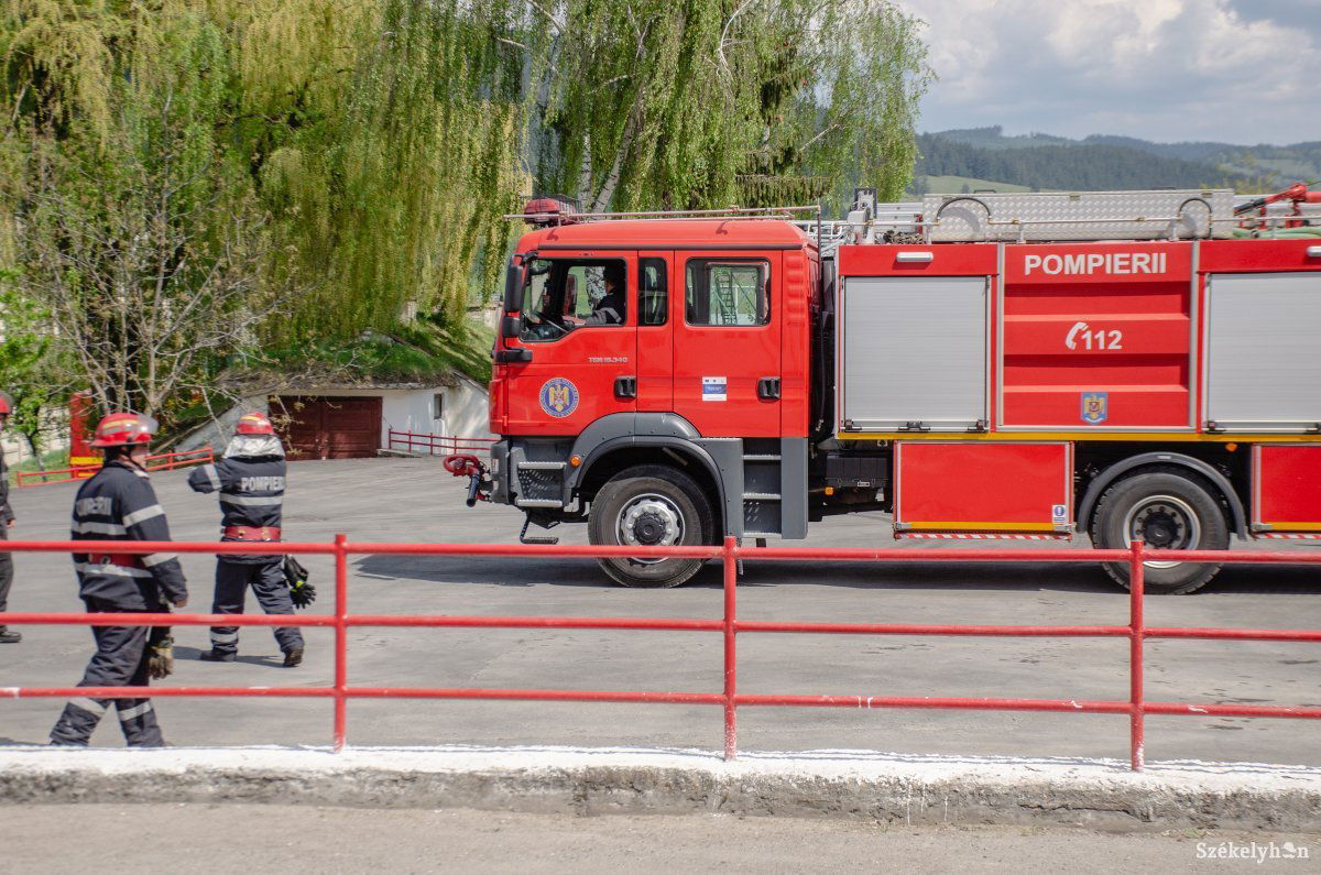 Tűzoltók mentették ki az állatot az árokból. Képünk illusztráció &bullet;  Fotó: Gecse Noémi