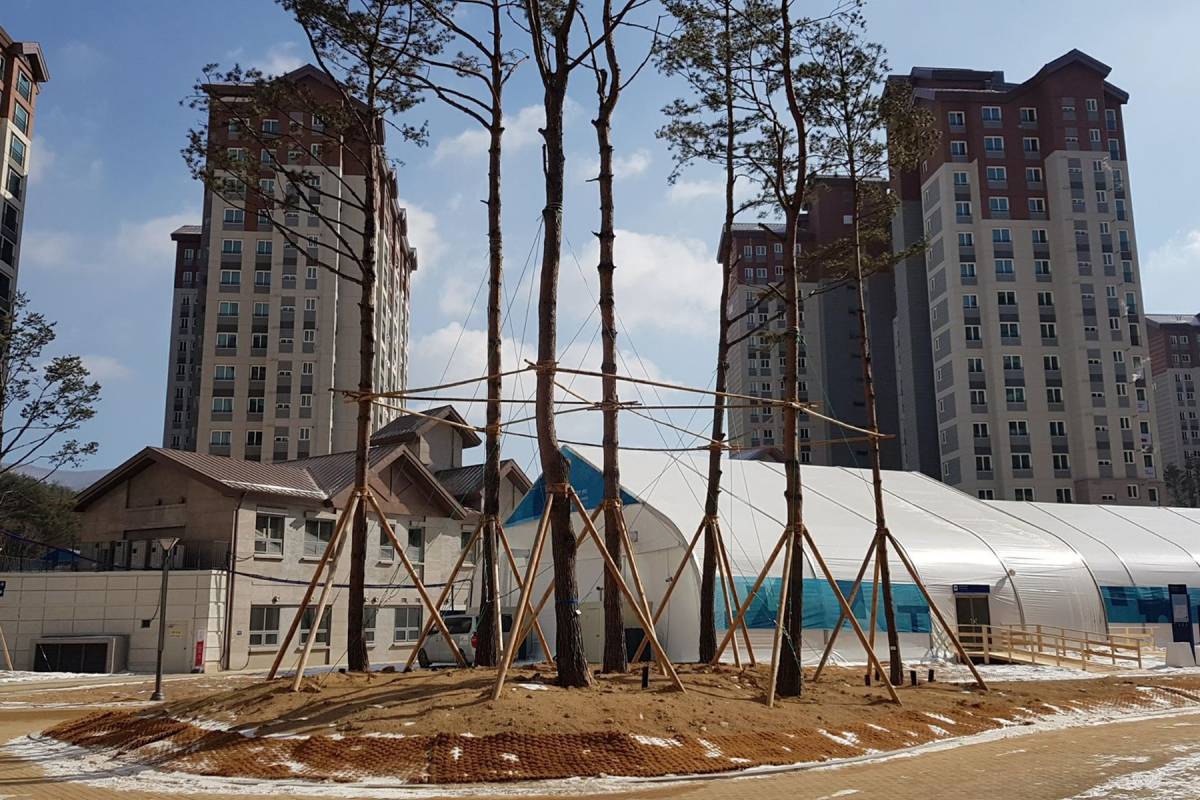 &bullet;  Fotó: Márton Simon